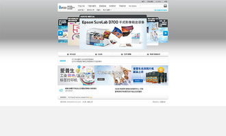 奔唐技術支持 印刷設備網站制作與天津網頁開發實踐
